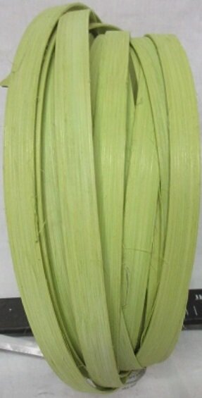 Dyed - Celery