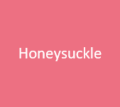 Dyed - Honeysuckle