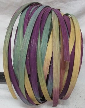 Spaced Dyed - Mardi Gras
